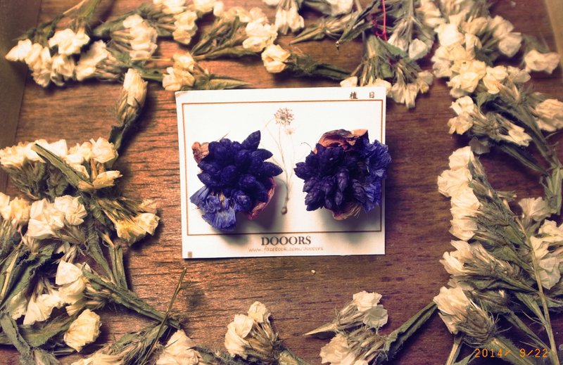 ⋒顽固な草堆⋒ 耳环(单) - 耳环/耳夹 - 植物．花 多色