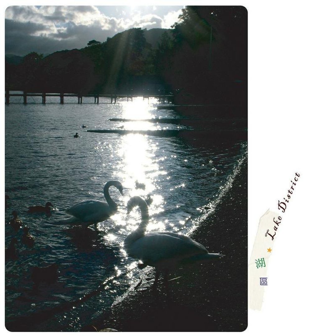英国旅行摄影明信片 - 卡片/明信片 - 纸 
