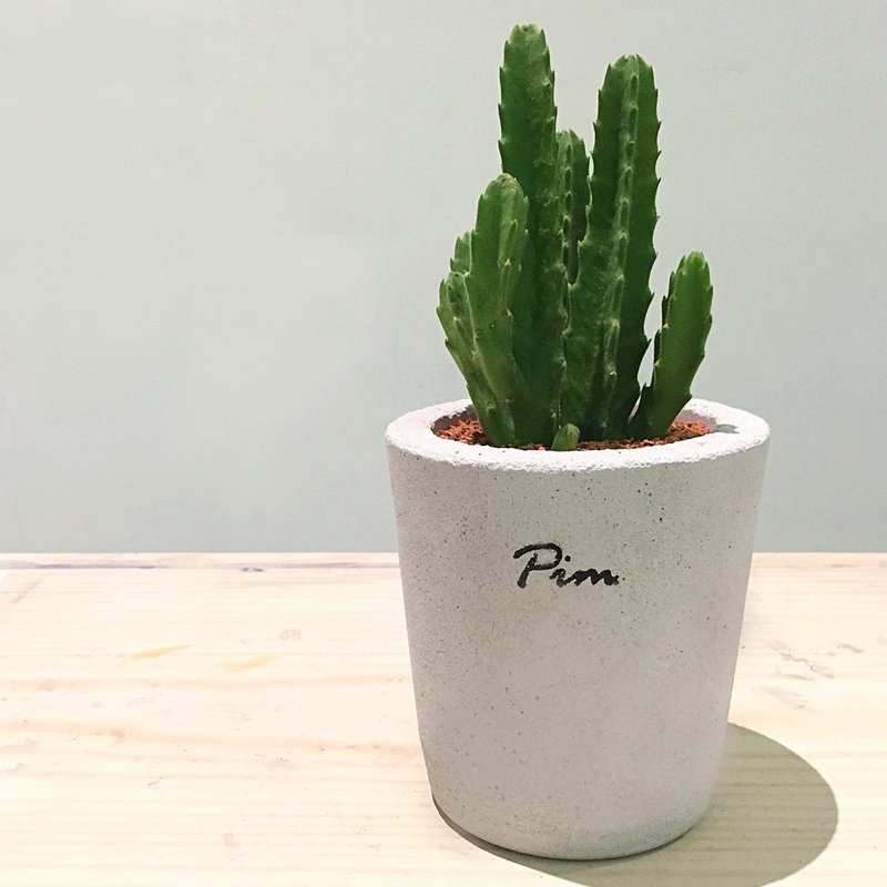 [动植物]手工水泥盆。叁号[不含植] - 植栽/盆栽 - 水泥 灰色