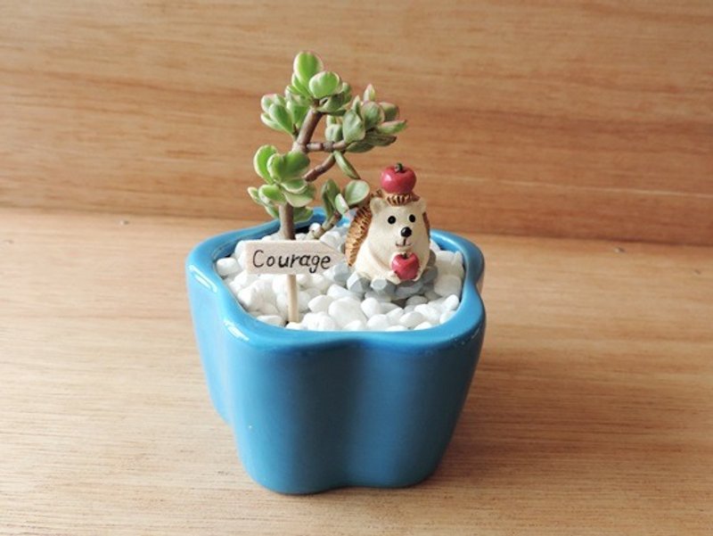 疗育系 · 多肉植物花园 · 雅乐之舞 - 植栽/盆栽 - 植物．花 