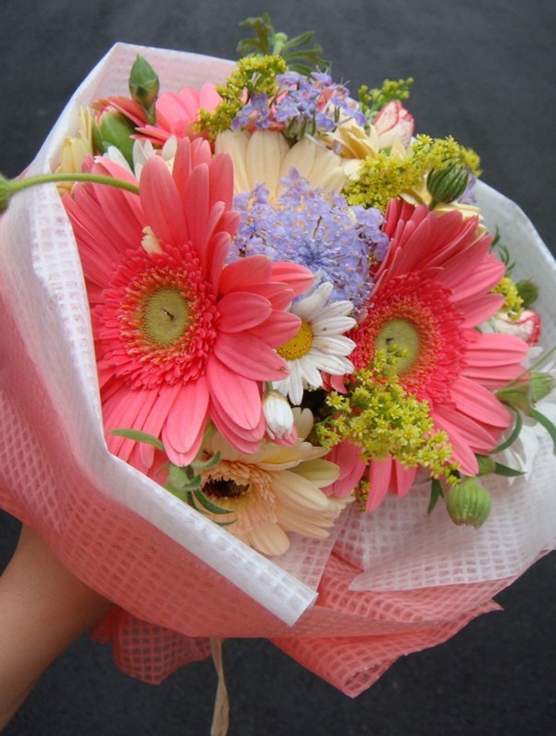 Flower Daily　春天缤纷圆型大花束・春のラウンド形大花束筒形包み - 植栽/盆栽 - 植物．花 