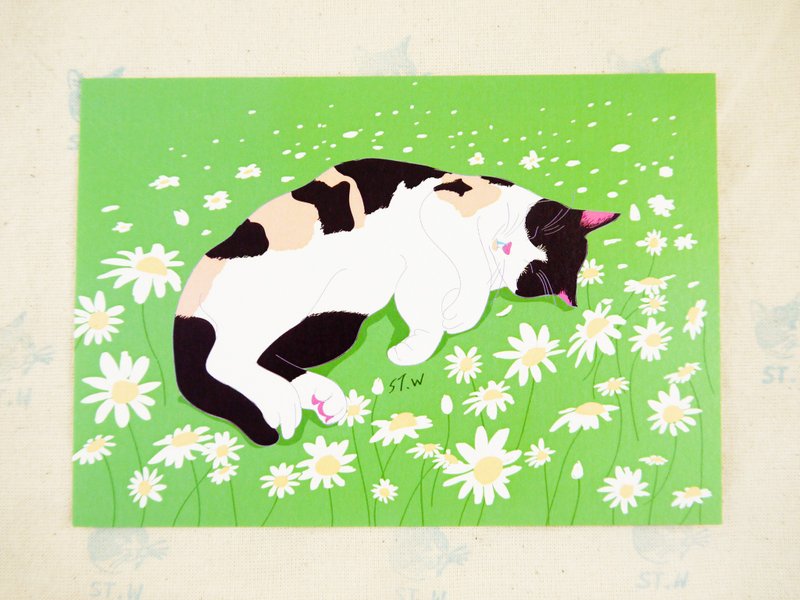 绿地上的猫明信片 - 卡片/明信片 - 纸 白色
