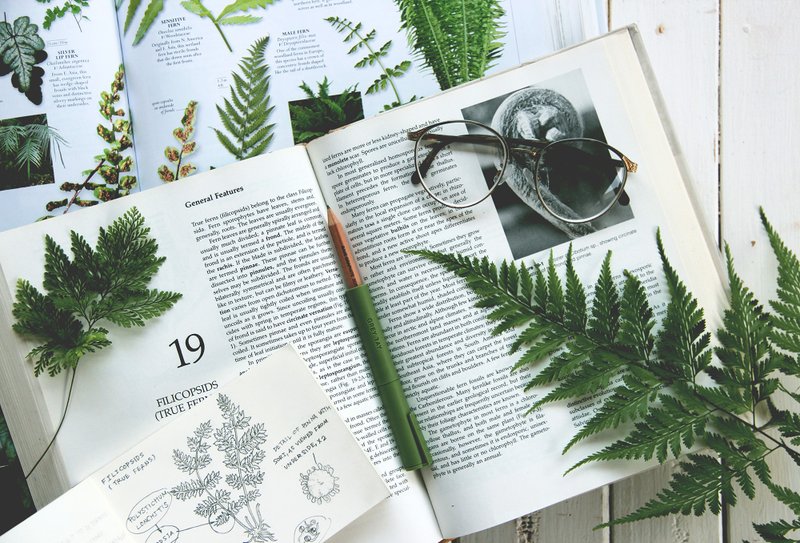 Drawing Out/Pencil Extender (Army Green) - 其他 - 塑料 绿色