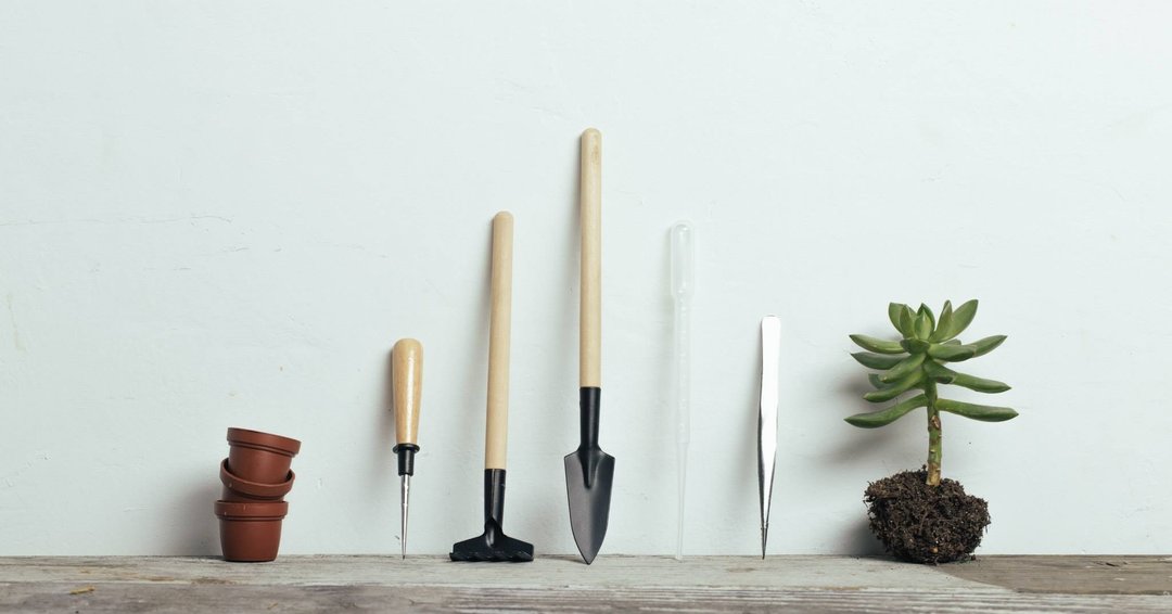 ◥单品贩售区：极地战士植栽工具- 多肉仙人掌专用小型园艺/窄铲子/播种锥/耙子/滴管/镊子 - 植栽/盆栽 - 其他材质 黑色