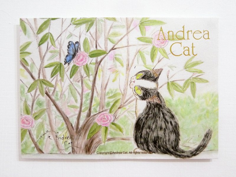 Andrea Cat-富丽街的猫成猫明信片-布鲁斯与蝴蝶 - 卡片/明信片 - 纸 多色