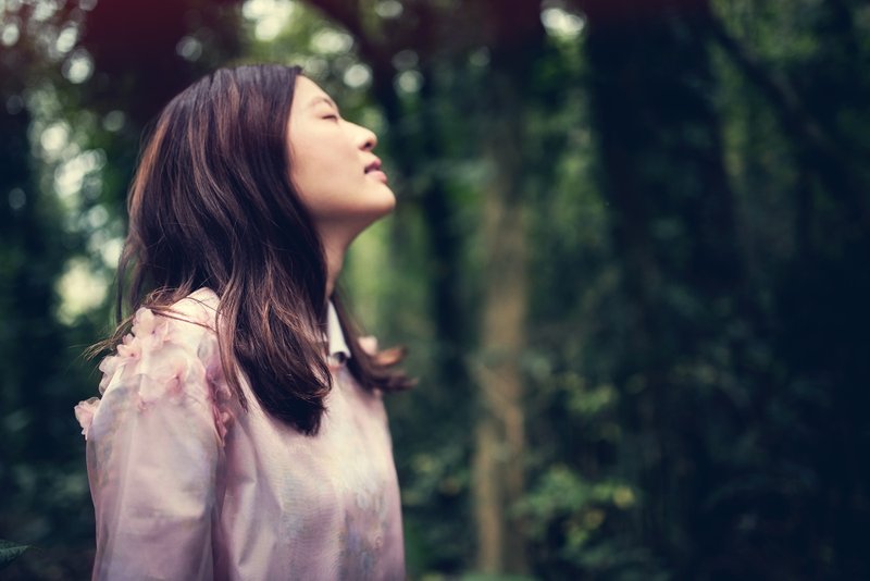 Iris 花园罩衫 - 女装上衣 - 其他材质 粉红色