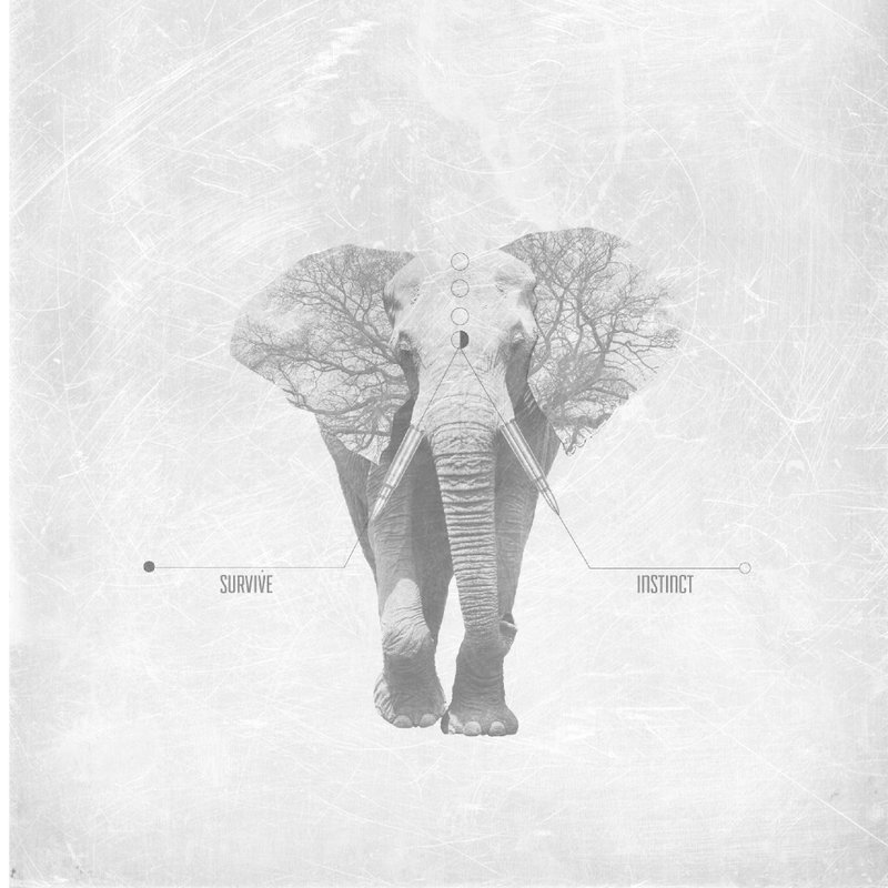 平衡 〔无框画〕 - 海报/装饰画/版画 - 其他材质 多色