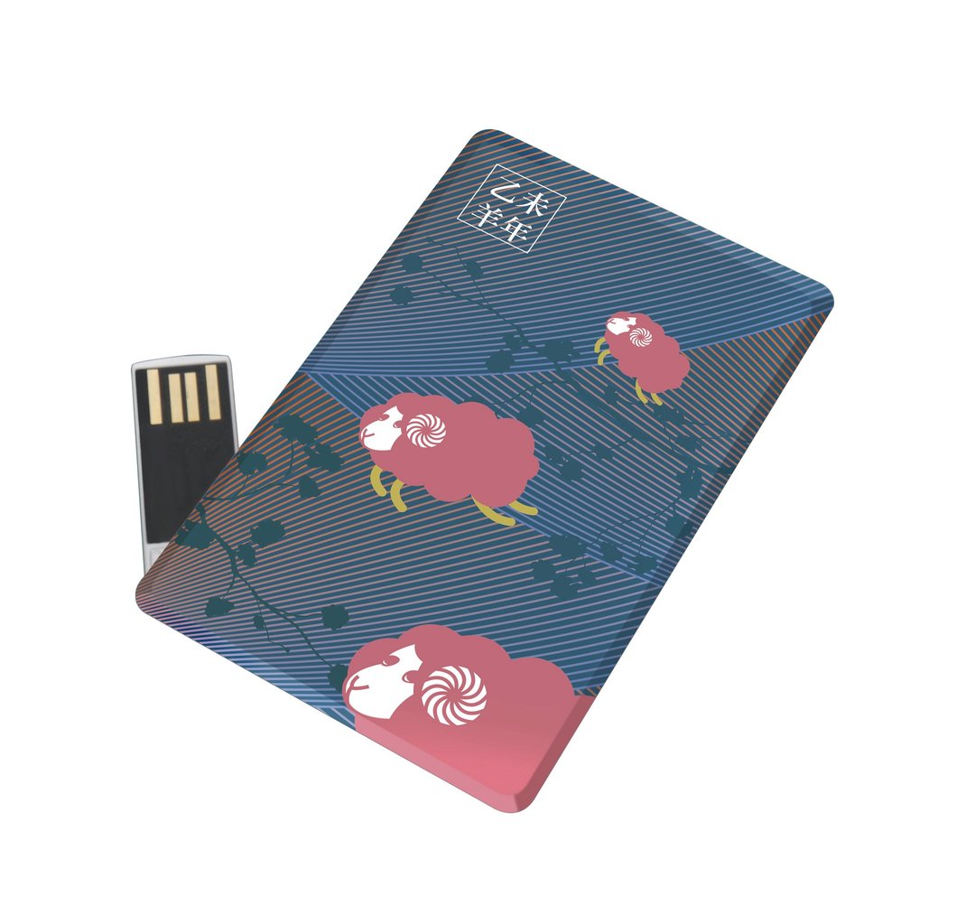 乙未桃羊 卡片随身碟 16GB - U盘 - 塑料 紫色