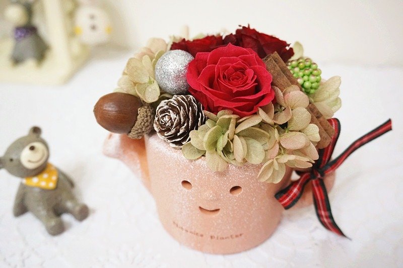 不凋花永生花圣诞微笑水壶 小栽 *交换礼物*情人节*婚礼*生日礼物 - 植栽/盆栽 - 植物．花 