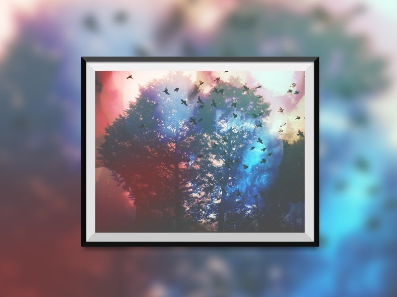 【照片输出】♒ | A4 Photo Print 顶级半光面相纸 | TH1RT3ENDREAMS - 摄影集 - 纸 多色