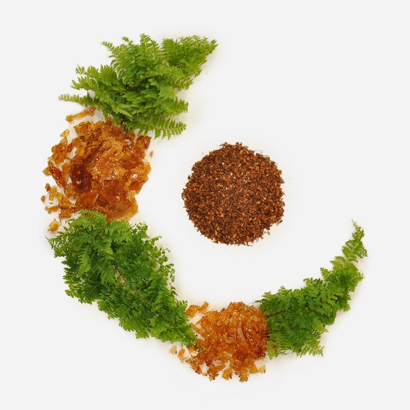 【88折】南非国宝茶_三角茶包/散茶/无咖啡因 - 茶 - 其他材质 橘色