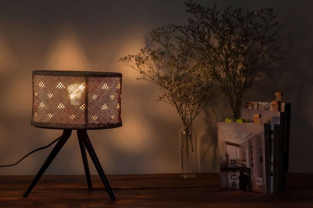 蔺灯  Triangular Rush lamp - 其他 - 植物．花 绿色