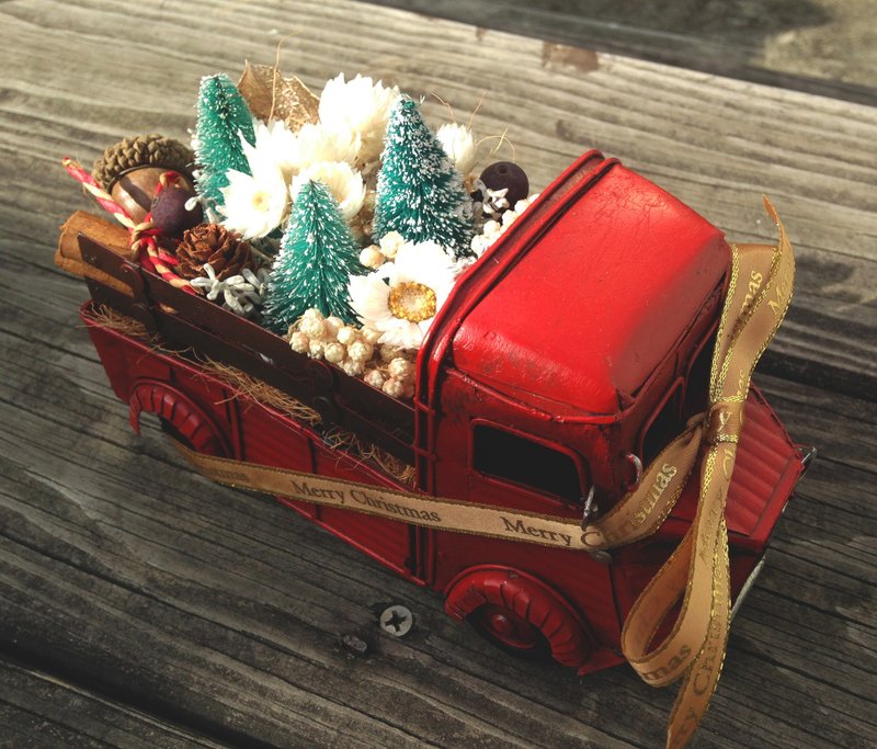 I 圣诞梦想限定 I 北国圣诞花园货卡* 可定制标语卡插* 交换礼物 - 植栽/盆栽 - 植物．花 多色