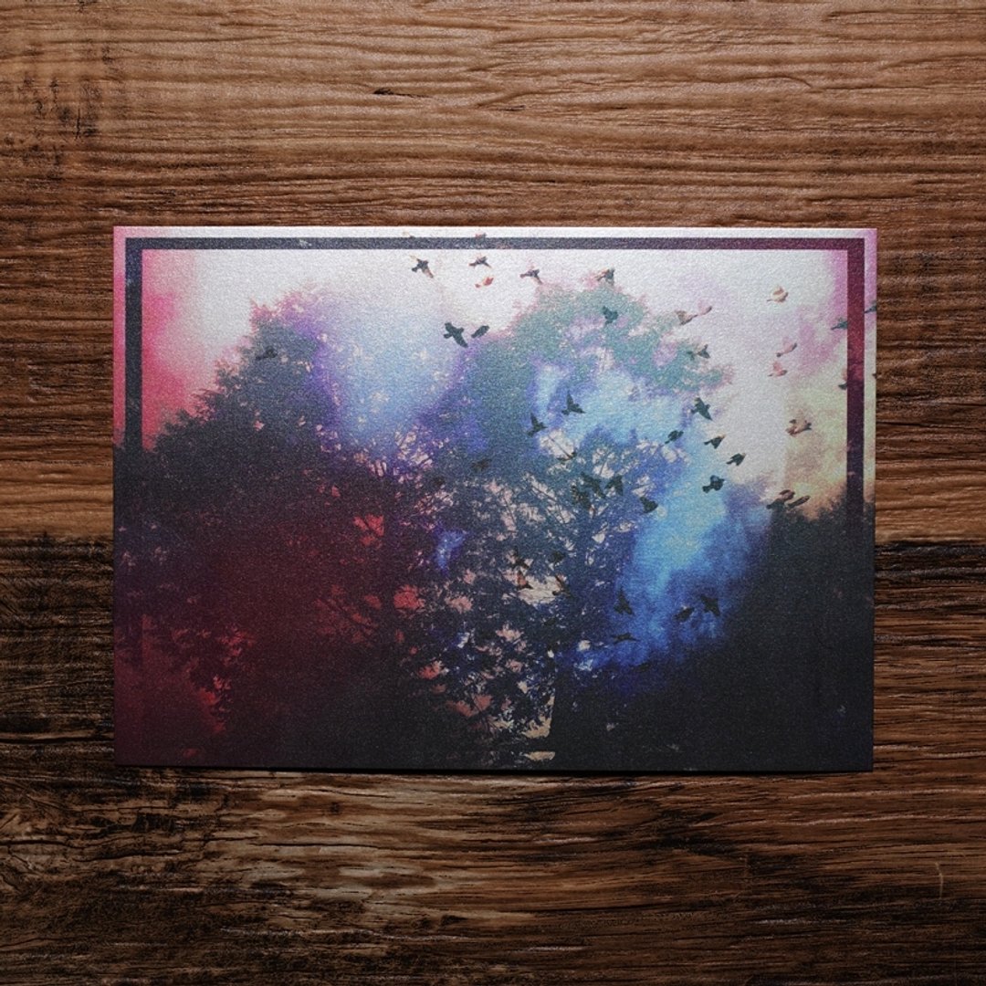 【照片明信片  #03】Photo Postcard | TH1RT3ENDREAMS - 摄影集 - 纸 多色