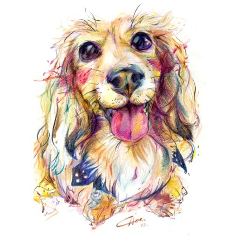 Pet Portrait 宠物肖像画  13x18cm  一只一张  色铅笔 - 订制画像 - 纸 多色