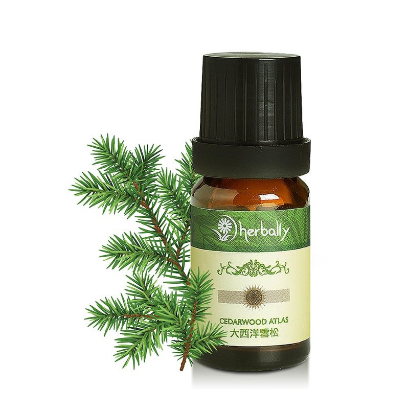 纯天然单方精油-大西洋雪松【无毒香氛】礼赠 |纾压放松|圣诞礼物 - 香薰/精油/线香 - 植物．花 