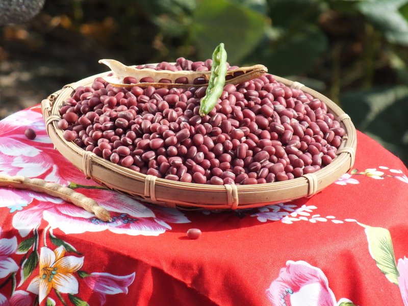 农五味-无毒红豆 600g - 零食/点心 - 新鲜食材 