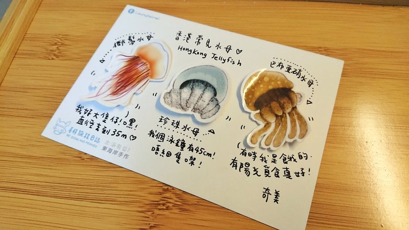 香港常见水母贴纸 - 贴纸 - 纸 咖啡色