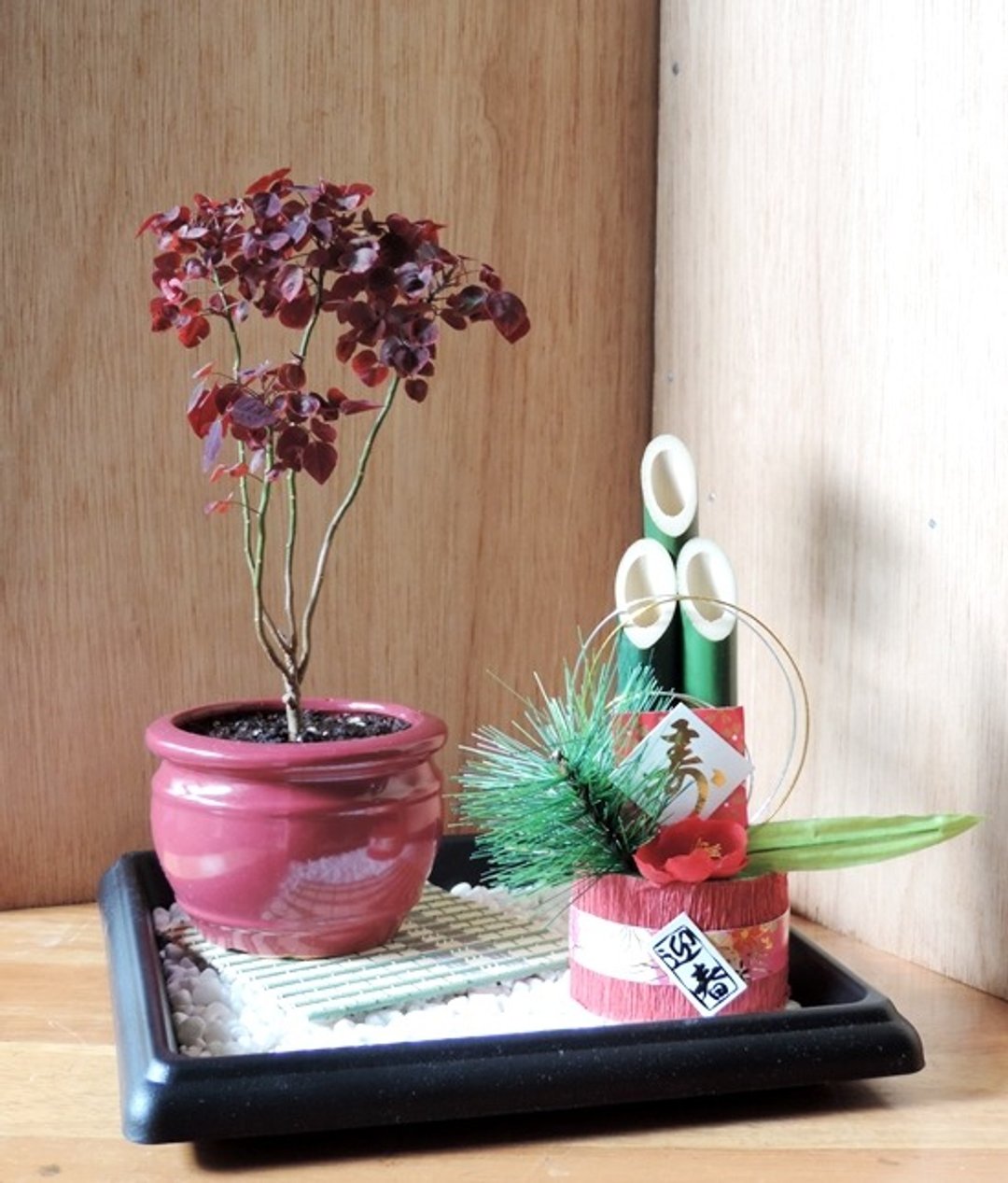 日式盆景 · 吉祥小品【小红枫】 · 迎新春《新年祝贺》 - 植栽/盆栽 - 植物．花 