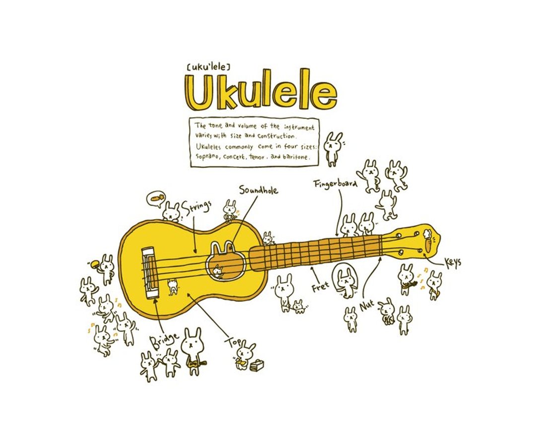 | 乌克丽丽 ukulele II | - 女装 T 恤 - 棉 白色