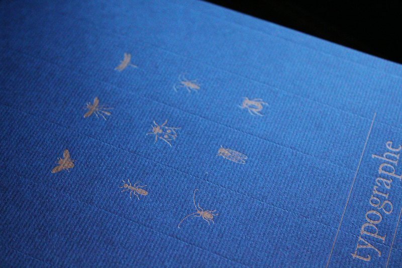 PAPIER A5空白书写纸。昆虫款 - 笔记本/手帐 - 纸 