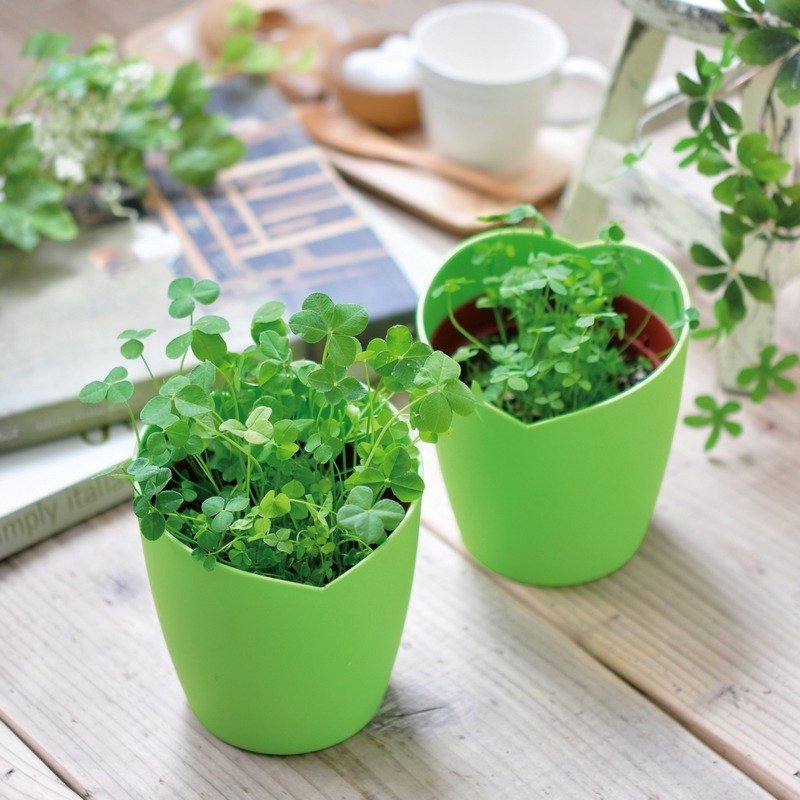 CLOVER 心形栽培套组 / 四叶幸运草 - 植栽/盆栽 - 塑料 绿色