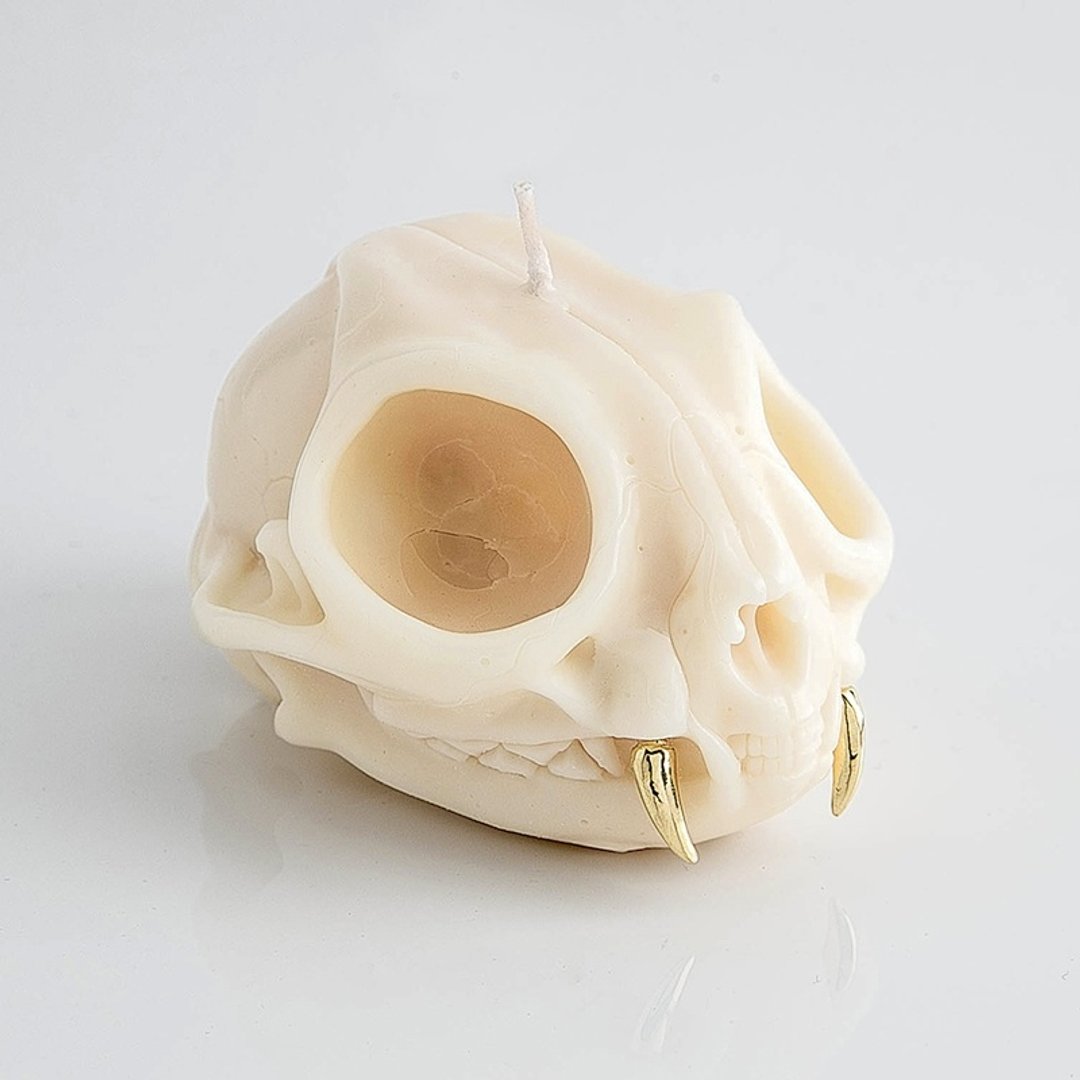 Brainfart55 x Recovery Bobcat skull Candle 山猫头骨蜡烛-白 - 蜡烛/烛台 - 蜡 白色