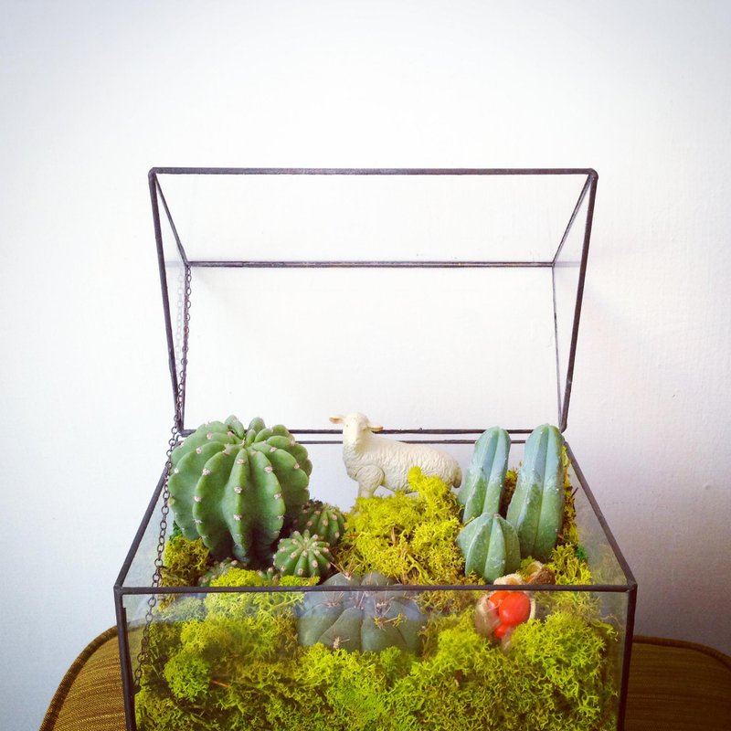 森林透明花房--中型精致可掀式屋顶式玻璃花房屋中大型组盆 - 植栽/盆栽 - 植物．花 绿色