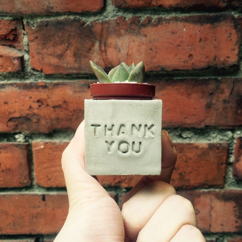 Thank you~!! 多肉磁铁盆栽 - 植栽/盆栽 - 水泥 灰色