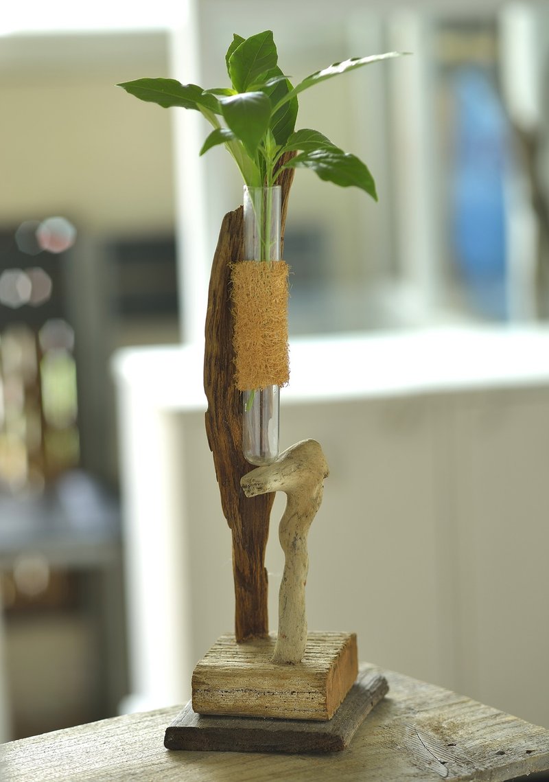 自然飘流木花器7 - 木工/竹艺/纸艺 - 木头 绿色