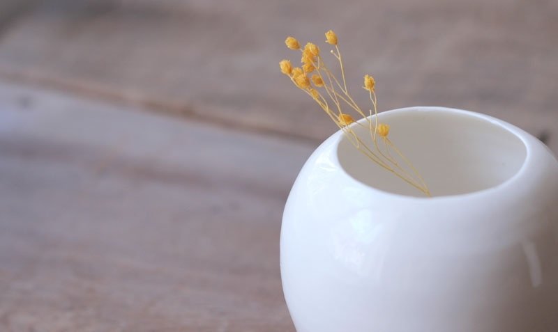 小蛋壳Ö 瓷器皿 - 花瓶/陶器 - 其他材质 白色