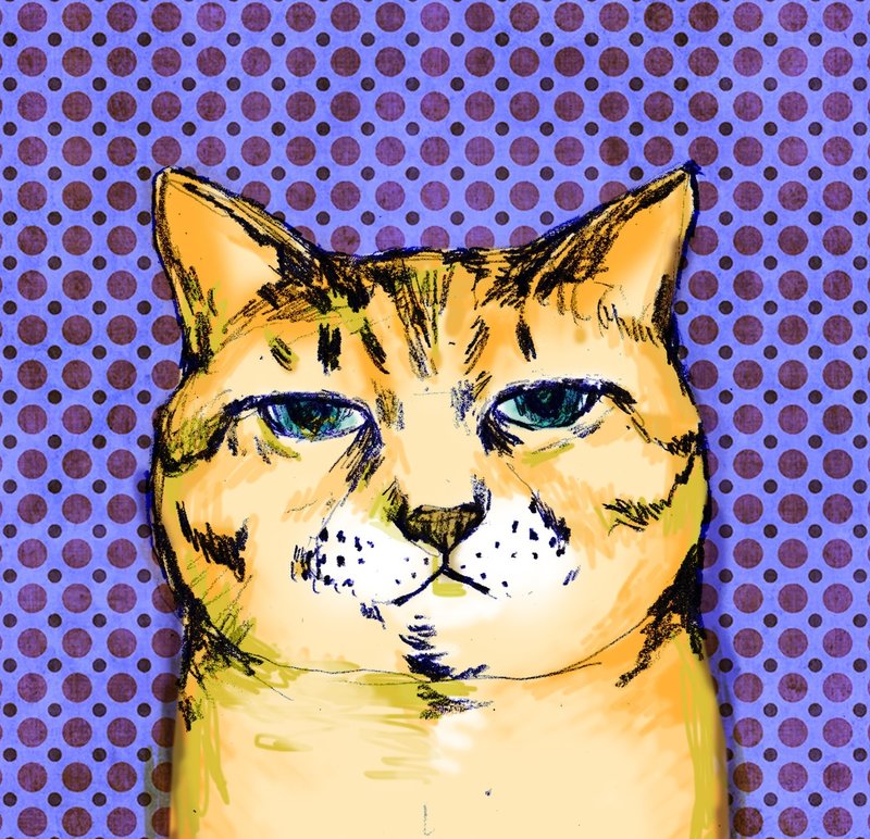 大妈  / Street Cats浪浪系列 - 贴纸 - 硅胶 橘色