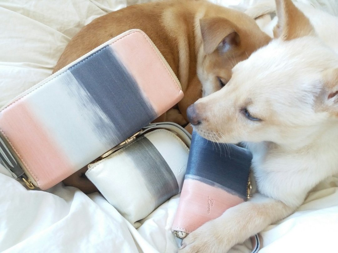 ISABELLA HAND-PAINTED WALLET (SILVERY PEACH) - 皮夹/钱包 - 真皮 多色