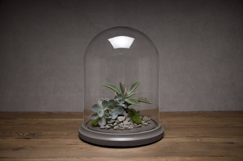 圆顶玻璃展示罩 黑  M  size - 摆饰 - 玻璃 灰色