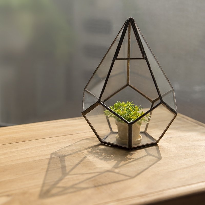 玻璃温室 水滴切面 /多肉/盆栽/ - 植栽/盆栽 - 玻璃 