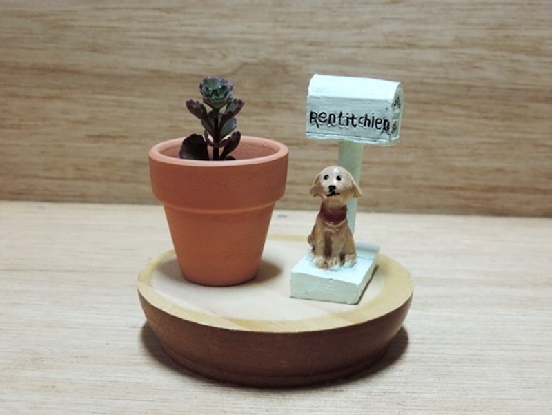 欧系风格 · 多肉小品《限定贩售》 - 植栽/盆栽 - 植物．花 