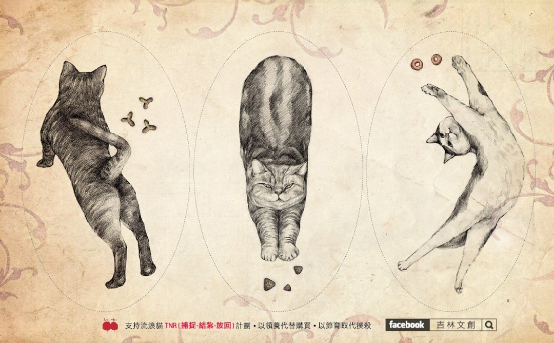 喵喵伸懒腰 - 贴纸 - 纸 金色