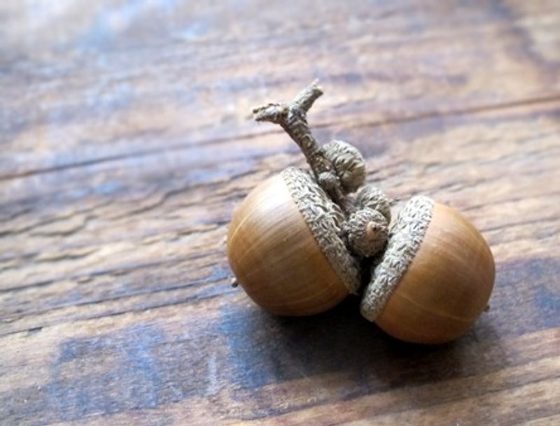 Polovoi 纯手作˙材料包˙秋天的自然橡树果子/果实/Zakka天然素材(M) - 植栽 - 植物．花 绿色