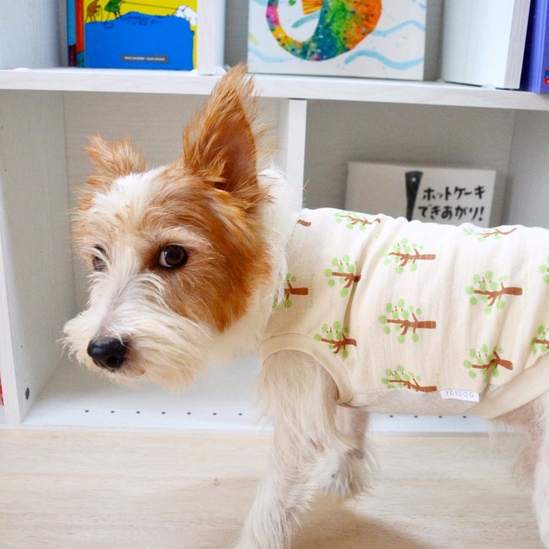 Anti-Mosquito Dog Clothes "Tree" FBS/FBM/FBL - 衣/帽 - 其他材质 白色