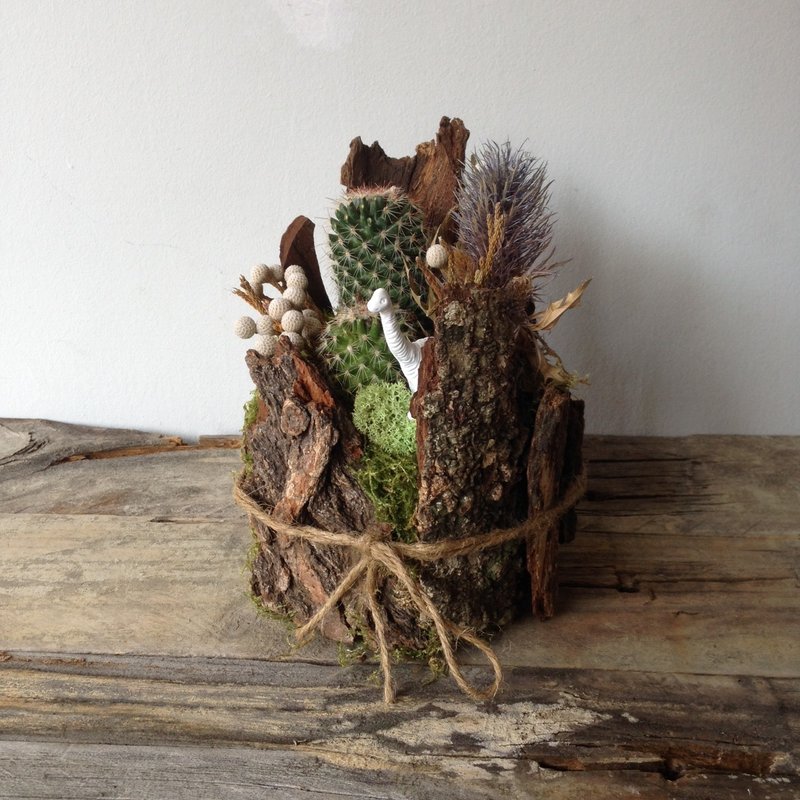 place 如果有一天 地球是方的 仙人掌设计植栽 - 植栽/盆栽 - 植物．花 绿色