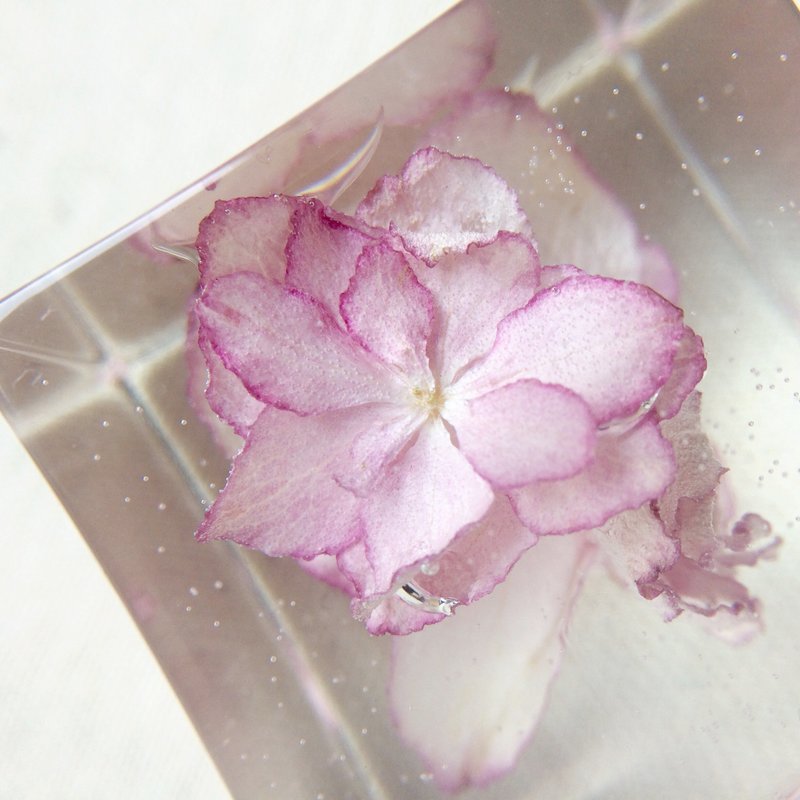 【立体花摆设系列】真花/立体干燥花/立方体桌上小摆设/全人手制作/ - 摆饰 - 其他材质 