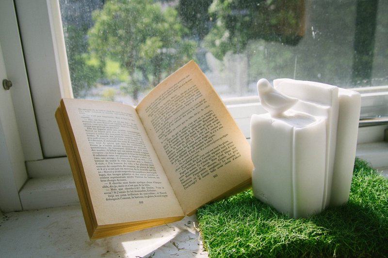 2015金点设计奖~希望-鸽子造型立体石雕书挡 - 书架/书挡 - 石头 白色