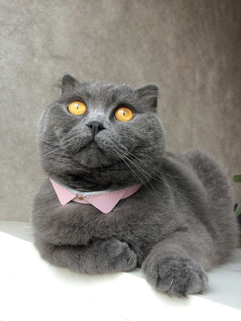 Zemoneni 全手作 牛皮革 多色 粉红色 蓝色 宠物项圈 配饰 猫猫 狗狗 领结 猫圈圈 狗圈圈 毛孩礼物 - 项圈/牵绳 - 真皮 粉红色