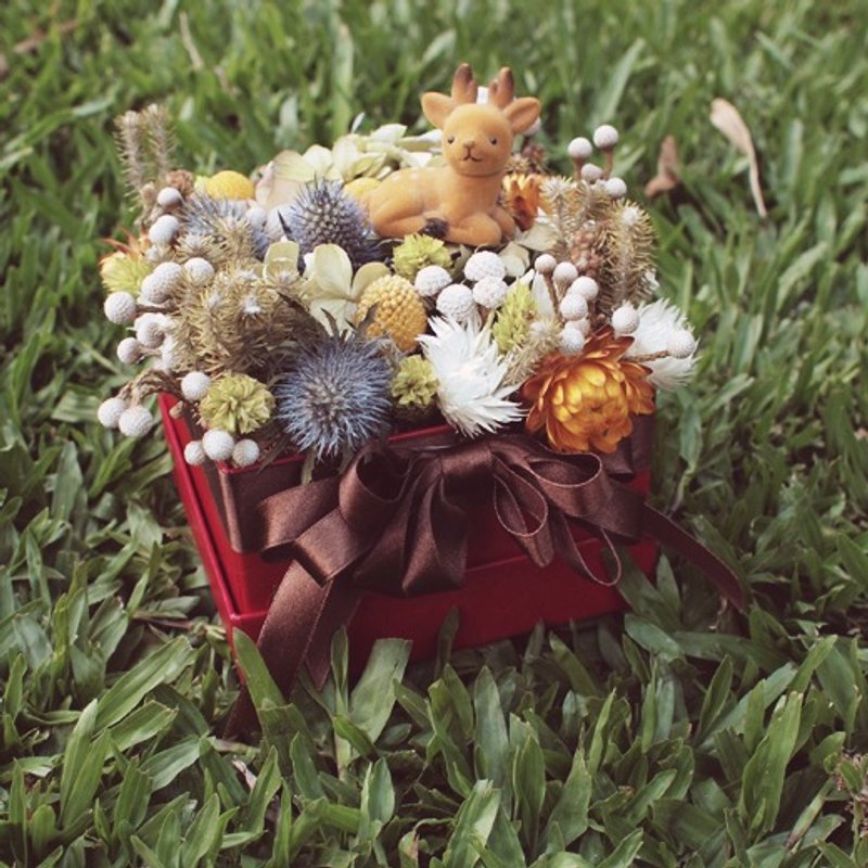 猫.初花 ｜ Forest 森林系干燥礼盒花 摄影 摆饰 送礼 - 植栽/盆栽 - 植物．花 绿色