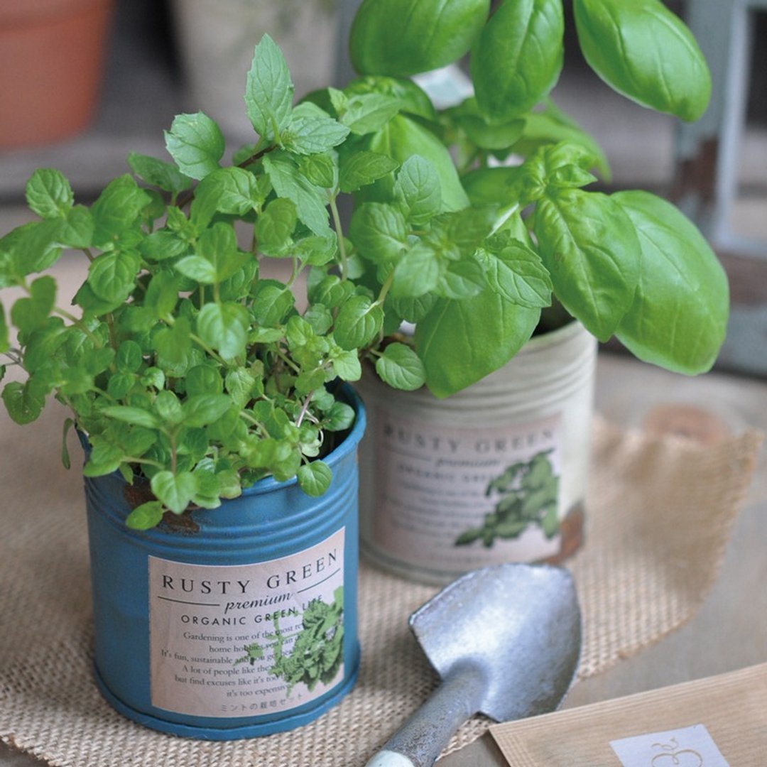 【福利品出清】RUSTY GREEN 复古铁锈栽培盆器 / 香草类 (三款) - 植栽/盆栽 - 其他金属 咖啡色