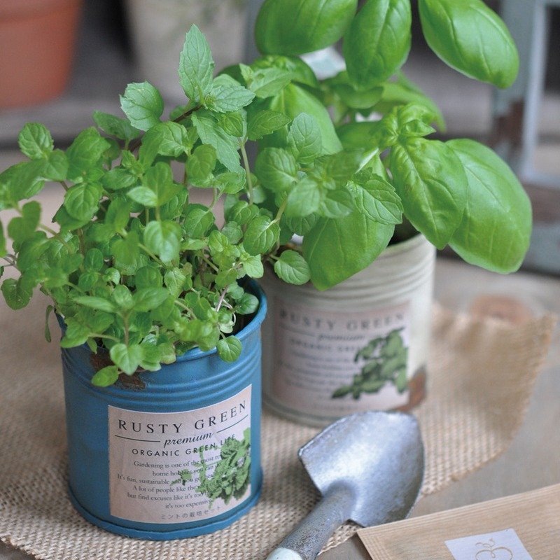 【福利品出清】RUSTY GREEN 复古铁锈栽培盆器 / 香草类 (三款) - 植栽/盆栽 - 其他金属 咖啡色