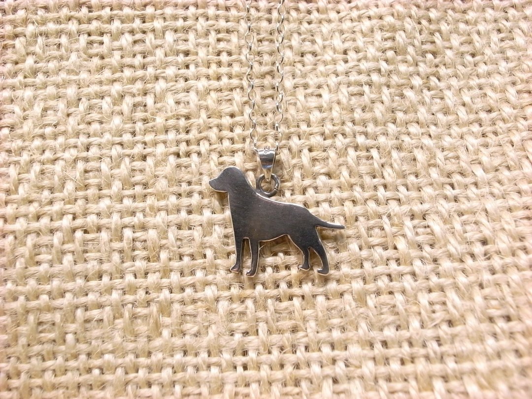二毛银【犬的系列6拉不拉多】 - 项链 - 其他金属 