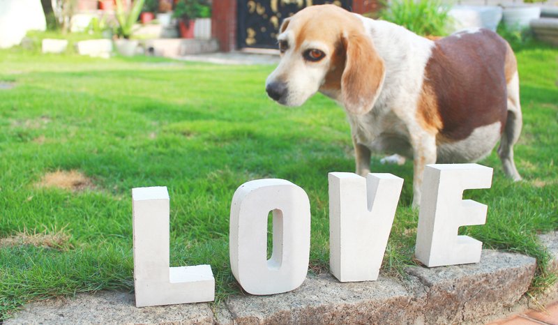 婚礼布置/水泥字母(L)/工业风/摆饰/ - 摆饰 - 水泥 灰色