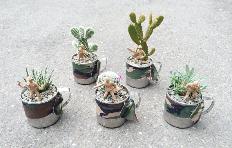 ARMY再英勇也会觉得累 - 植栽/盆栽 - 植物．花 绿色
