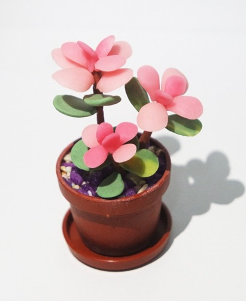 拟真多肉植物小盆栽-金枝玉叶锦 - 摆饰 - 粘土 